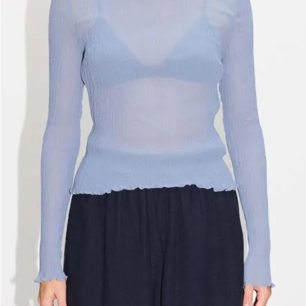 HOPE Stockholm Sheer Long Sleeve Blouse in Blue